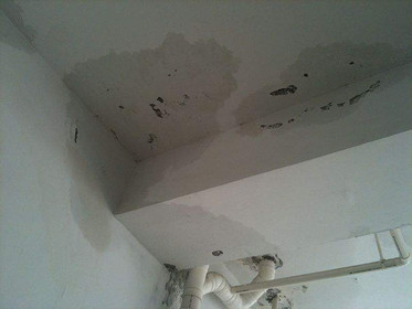 卫生间漏水致邻居家墙纸脱落 装修综合保险可赔偿
