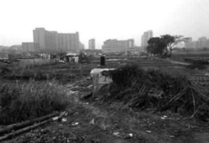 宁波一地块闲置近20年 市民问能否改成临时停车场
